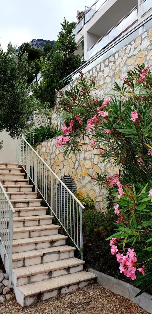 卡普戴尔La Terrazza Di Monaco公寓 外观 照片